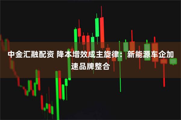中金汇融配资 降本增效成主旋律：新能源车企加速品牌整合